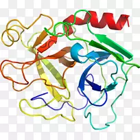 线点生物剪贴画线-空若网 线点生物剪贴画线-空若网