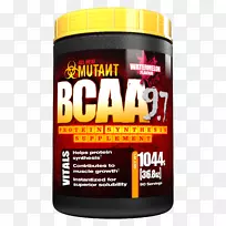 ֧����������ʳ�����-������