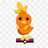 ��׵���￪��ֲ�������-������