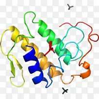 线点生物剪贴画线-空若网 线点生物剪贴画线-空若网