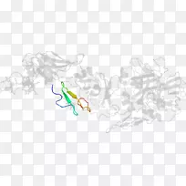 ƽ����Ƽ�����.���-������