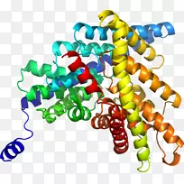 人体珠宝有机体线条剪贴画.珠宝-空若网 人体珠宝有机体线条剪贴画.珠宝-空若网