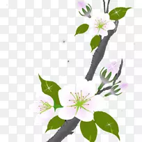 花设计梅花-空若网 花设计梅花-空若网