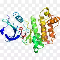人体珠宝有机体线条剪贴画.珠宝-空若网 人体珠宝有机体线条剪贴画.珠宝-空若网