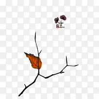 С֦À¥³æÖ²Îï¾¥Ò¶¼ôÌù»À¥³æ-¿ÕÈôÍø С֦À¥³æÖ²Îï¾¥Ò¶¼ôÌù»À¥³æ-¿ÕÈôÍø