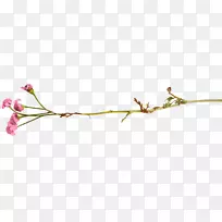 ������ͼ-���Ž���װ��Ʒ-������