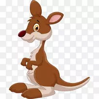 澳大利亚树袋熊区系-空若网 澳大利亚树袋熊区系-空若网