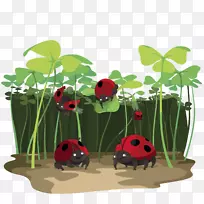 花卉设计棋盘游戏-空若网 花卉设计棋盘游戏-空若网