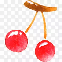 樱桃果奥格里斯手绘樱桃-空若网 樱桃果奥格里斯手绘樱桃-空若网