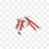 ʥ��װ��Ʒ���������鱦�����鱦-������