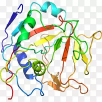 线点生物剪贴画线-空若网 线点生物剪贴画线-空若网