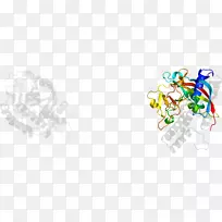 ���������-������