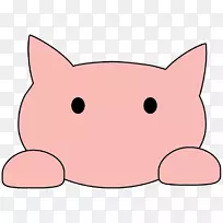 ���룬Сè�������ӣ�Сè-������