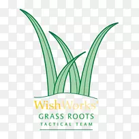 叶标草植物茎字体-草根-空若网 叶标草植物茎字体-草根-空若网