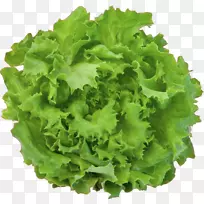 ɫ����ɽݫ��Ҷ�߲�-ɫ��-������