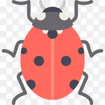 ư³æ¼ÆËã»úͼ±ê-Mariquita-¿ÕÈôÍø ư³æ¼ÆËã»úͼ±ê-Mariquita-¿ÕÈôÍø