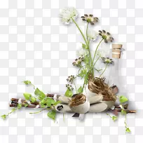 花卉设计下载剪辑艺术-禅-空若网 花卉设计下载剪辑艺术-禅-空若网