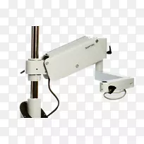 ������ѧ��������-������