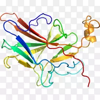 叶线点剪贴画-叶-空若网 叶线点剪贴画-叶-空若网