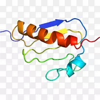 �ߵ������-��-������