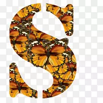 帝王蝶,刷子蝶,对称蝴蝶,蝴蝶-空若网 帝王蝶,刷子蝶,对称蝴蝶,蝴蝶-空若网