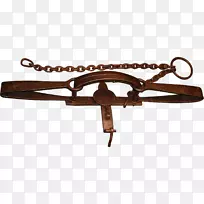 ��ɫ����Ķ��ֳ�������������-�Ŷ�-������