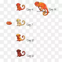 动物线动画字体-鸡派-空若网 动物线动画字体-鸡派-空若网