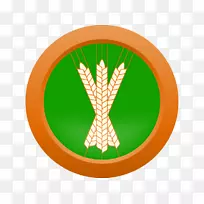 啤酒杯-啤酒配方-空若网 啤酒杯-啤酒配方-空若网