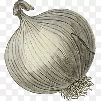 �߲����������ͥ����ʳ��������-�߲�-������