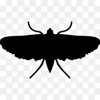 昆虫蝴蝶剪贴画-昆虫-空若网 昆虫蝴蝶剪贴画-昆虫-空若网