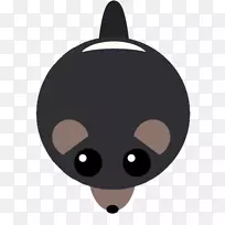 胡须猫鼻子夹艺术猫-空若网 胡须猫鼻子夹艺术猫-空若网