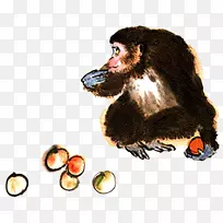 猴子手指-猴子吃水果-空若网 猴子手指-猴子吃水果-空若网