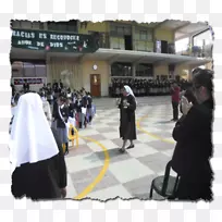 娱乐活动-拉比安阿帕雷西达女士-空若网 娱乐活动-拉比安阿帕雷西达女士-空若网