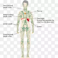 �ܰ�ϵͳ������������ѧҸ�ѽ���-������