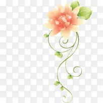 花卉设计日-空若网 花卉设计日-空若网