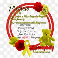 ��������л����껨-������