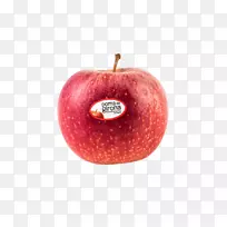 �������¼�����ƻ��-������