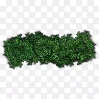 灌木树篱剪贴画树-空若网 灌木树篱剪贴画树-空若网