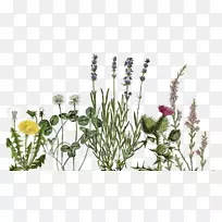 Ӣ��޹�²��;��ͻ���-��³ķ��-������