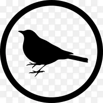 临床数据管理学会SCdm ALT属性-早期鸟类-空若网 临床数据管理学会SCdm ALT属性-早期鸟类-空若网