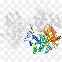 线点剪贴画-线-空若网 线点剪贴画-线-空若网