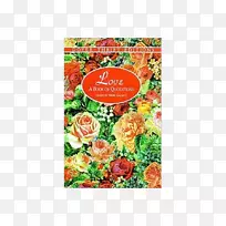 ����һ��������-����-��-������