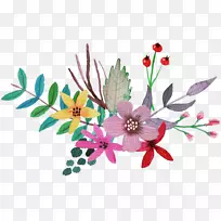 花瓣切花,开花植物,草本植物.水彩花-空若网 花瓣切花,开花植物,草本植物.水彩花-空若网