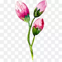 ´´ÒâË®²Ê»»¨ÀÙË®²Ê»-¿ÕÈôÍø ´´ÒâË®²Ê»»¨ÀÙË®²Ê»-¿ÕÈôÍø