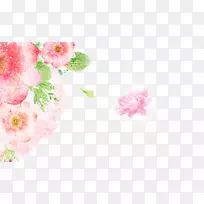 ���ͻ��ۺ컨-������