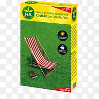 �ݣ���ƺ���ӣ��������ͨɳ��-������