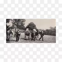 ��������ɫ����-1��3�����м���-������