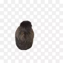 帽帽-空若网 帽帽-空若网