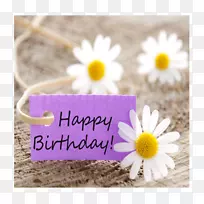 ���տ���ףԸ�ؿ��������Ʒ-����-������