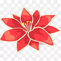 花卉设计切花花瓣设计-空若网 花卉设计切花花瓣设计-空若网